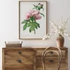 Peony Poster (21x29.7 cm (A4))
