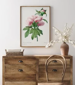 Peony Poster (21x29.7 cm (A4))