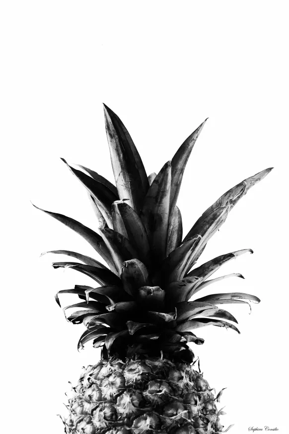 Pineapple B&W Poster (21x29.7 cm (A4))