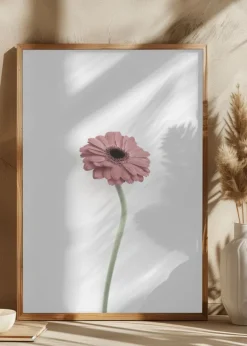 Pink Gerbera Poster (21x29.7 cm (A4))