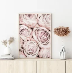 Pink Roses Poster (21x29.7 cm (A4))