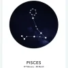 Pisces Canvastavla (30x40 cm)