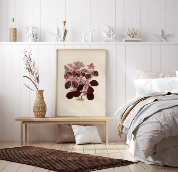 Plectranthus Scutellarioides II Poster (21x29.7 cm (A4))