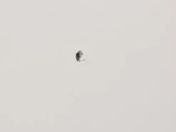 Plugg 50x10 mm med skruv 4-p
