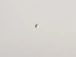 Plugg 50x10 mm med skruv 4-p