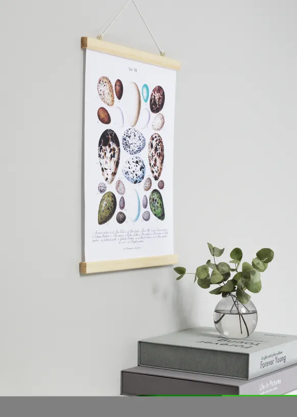 Posterhängare Nature - 70 cm