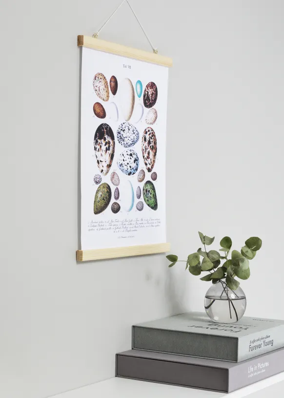 Posterhängare Nature - 30 cm