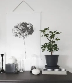 Posterhängare Vit - 50 cm