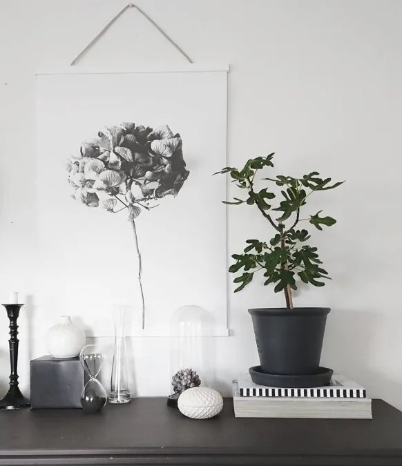 Posterhängare Vit - 50 cm