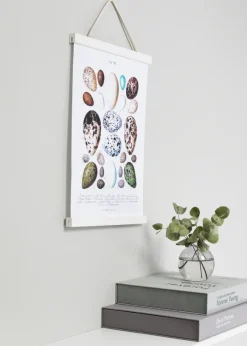 Posterhängare Vit - 50 cm