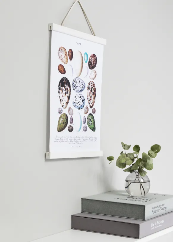 Posterhängare Vit - 50 cm