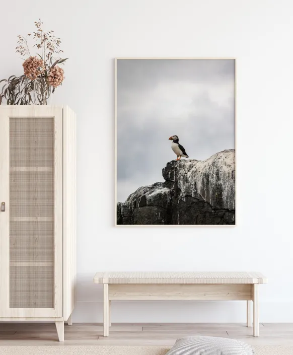 Puffin Poster (21x29.7 cm (A4))