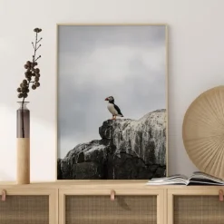 Puffin Poster (21x29.7 cm (A4))