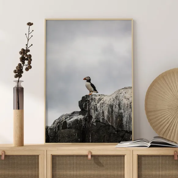 Puffin Poster (21x29.7 cm (A4))