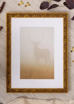 Ram Amber Guld 42x59,4 cm (A2)