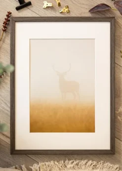 Ram Ares Grå Ek 20x30 cm - Passepartout Vit 10x21 cm