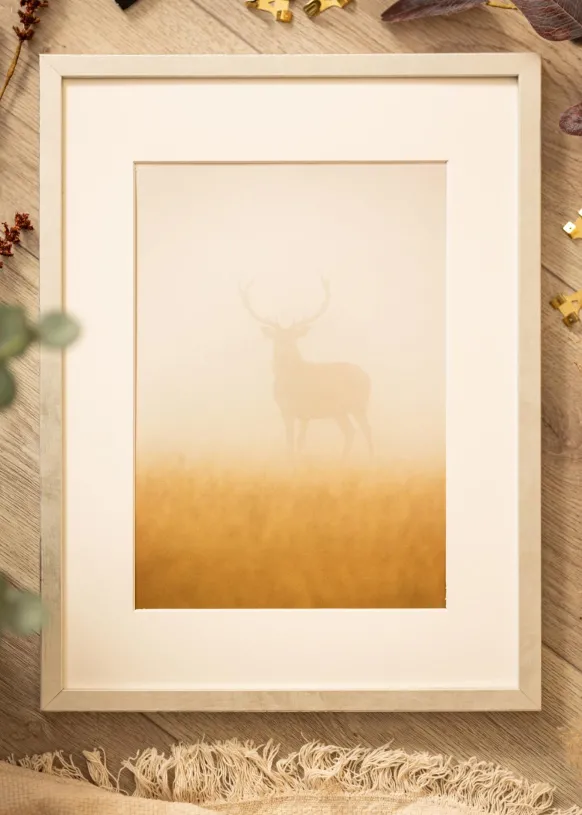 Ram Ares Silver 20x30 cm