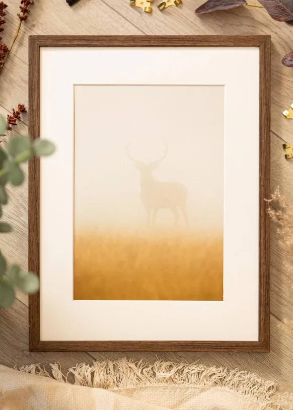Ram Ares Valnöt 20x25 cm - Passepartout Vit 14x18 cm