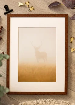 Ram Ares Valnöt 45x60 cm - Passepartout Vit B3 353x500 mm
