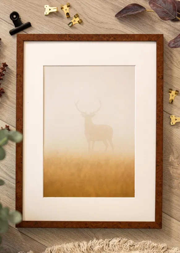Ram Ares Valnöt 45x60 cm - Passepartout Vit B3 353x500 mm