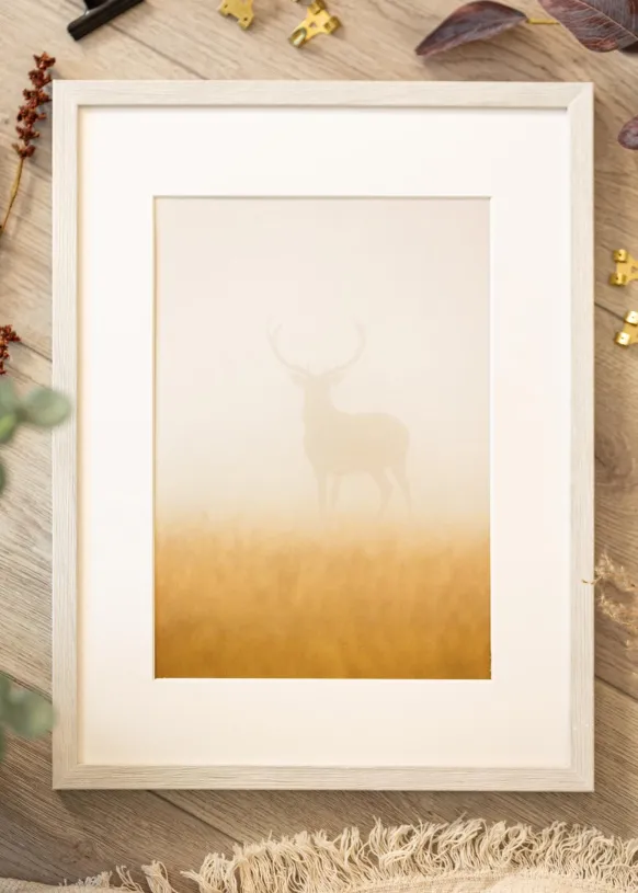 Ram Ares Vit Ek 45x60 cm - Passepartout Vit 35x48 cm