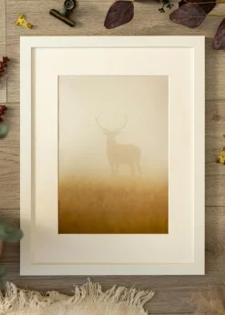 Ram BGA Classic Vit 70x70 cm - Passepartout Vit 24x24 inches