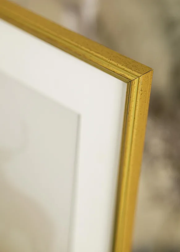 Ram Classic Glas Guld 15x20 cm