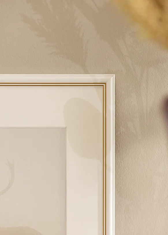 Ram Classic Glas Vit 40x50 cm