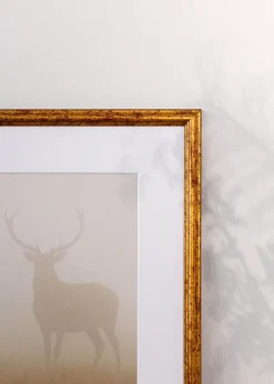 Ram Claudia Guld 70x100 cm