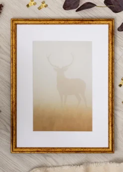 Ram Claudia Guld 70x100 cm