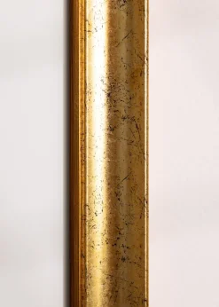Ram Conca Guld 60x80 cm