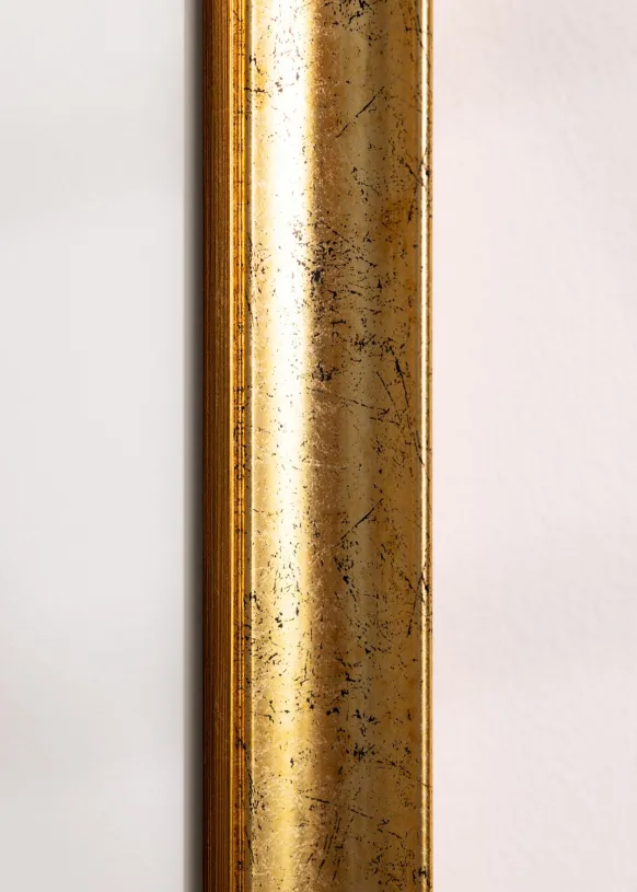 Ram Conca Guld 60x80 cm