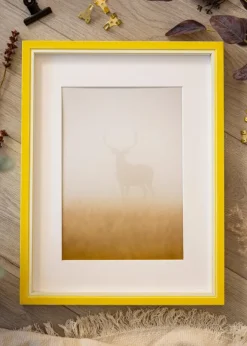 Ram Diana Gul 62x93 cm - Passepartout Vit 45x80 cm