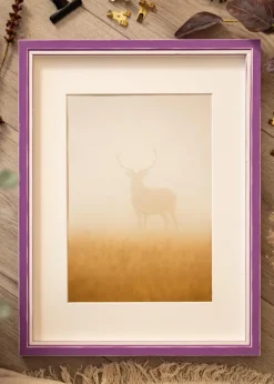 Ram Diana Lila 30x30 cm - Passepartout Vit 8x8 inches