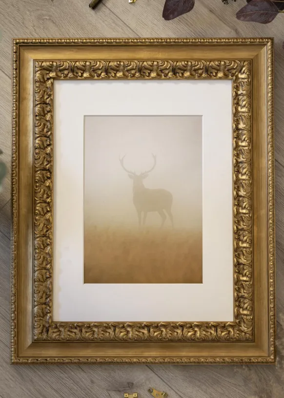 Ram Drottningholm Guld III - Valfri Storlek (Akrylglas)