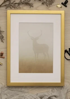 Ram Falun Guld 50x70 cm