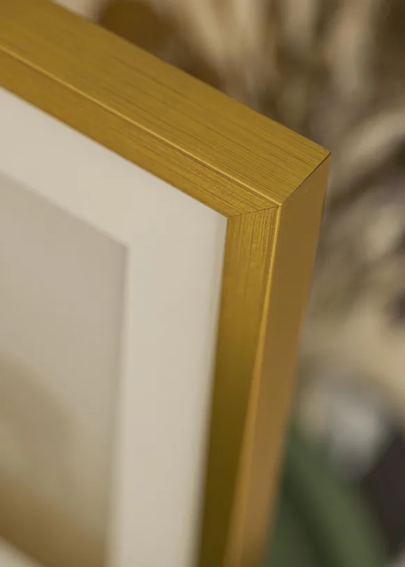 Ram Falun Guld 30x40 cm - Passepartout Vit 18x27 cm