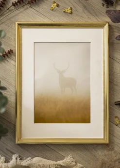Ram Gala Guld 50x70 cm - Passepartout Vit 42x59,4 cm (A2)