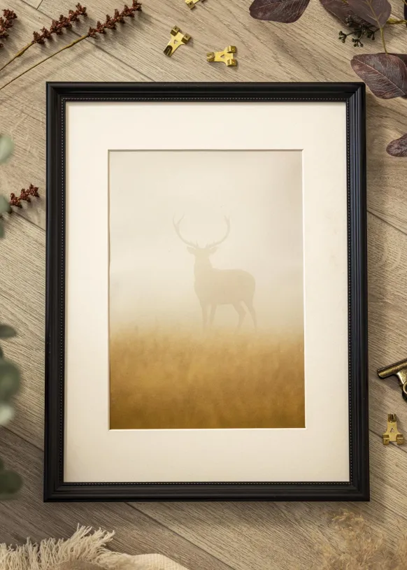 Ram Gala Svart 40x50 cm
