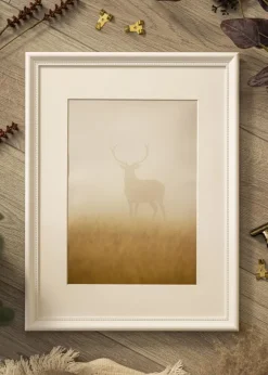 Ram Gala Vit 50x70 cm