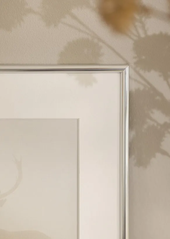 Ram Galeria Glas Silver 50x75 cm