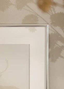 Ram Galeria Glas Silver 50x100 cm