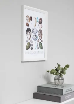 Ram Globe Vit 45x60 cm
