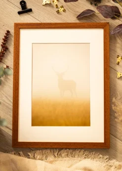 Ram Hermes Bok 30x40 cm - Passepartout Vit 21x30 cm