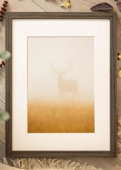 Ram Hermes Grey Oak 50x70 cm