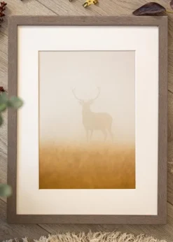 Ram Hermes Grå 45x60 cm - Passepartout Vit 34x50 cm