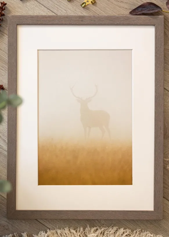 Ram Hermes Grå 45x60 cm - Passepartout Vit 34x50 cm
