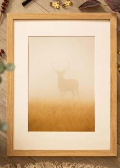 Ram Hermes Naturlig Ek 50x70 cm - Passepartout Vit 33x56 cm