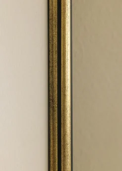 Ram Horndal Guld 24x30 cm