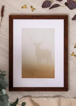 Ram Humphrey Brun 70x100 cm - Passepartout Vit 24x36 inches